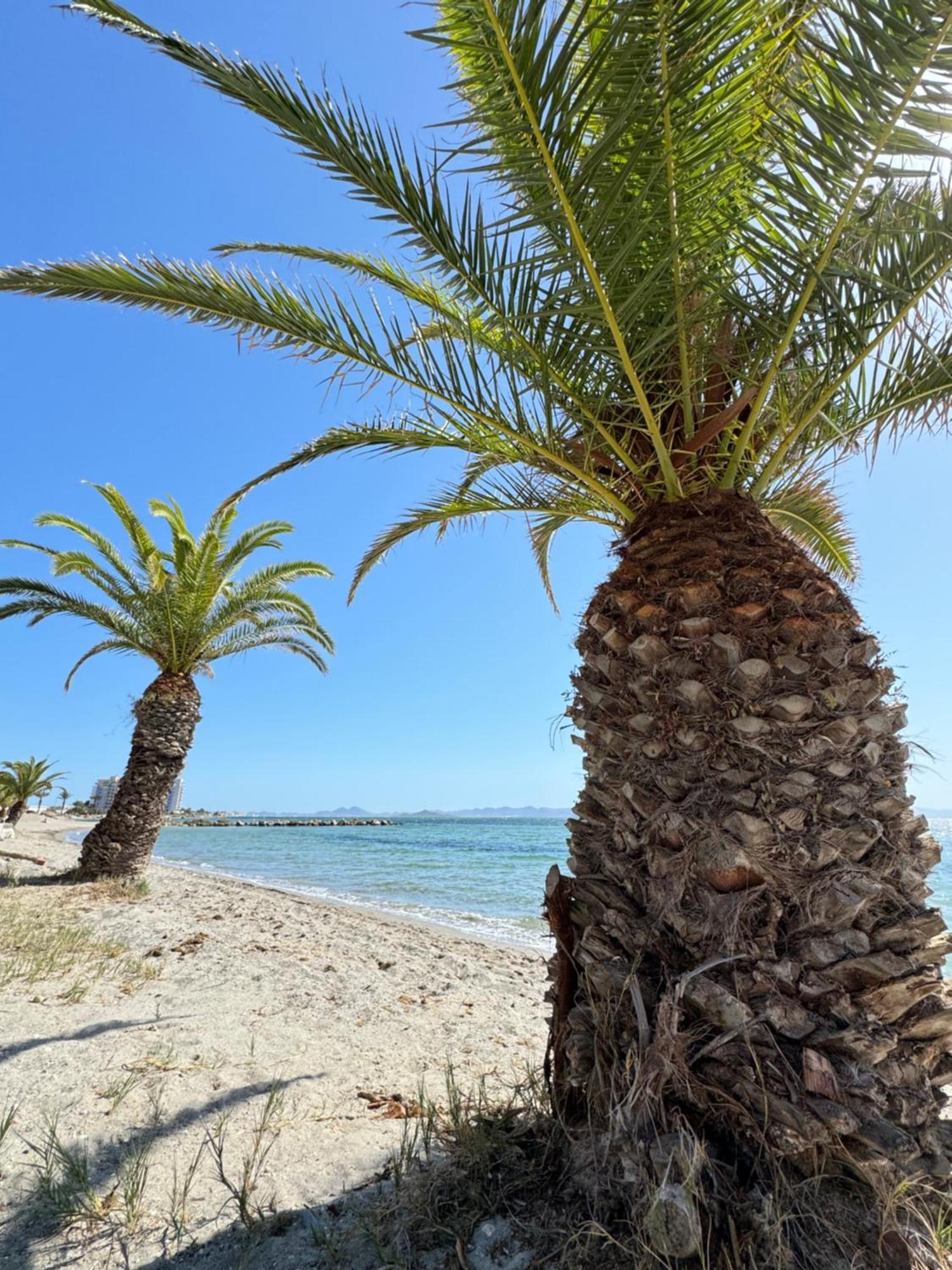 Ferienwohnung Vista Bella La Manga Exterior foto